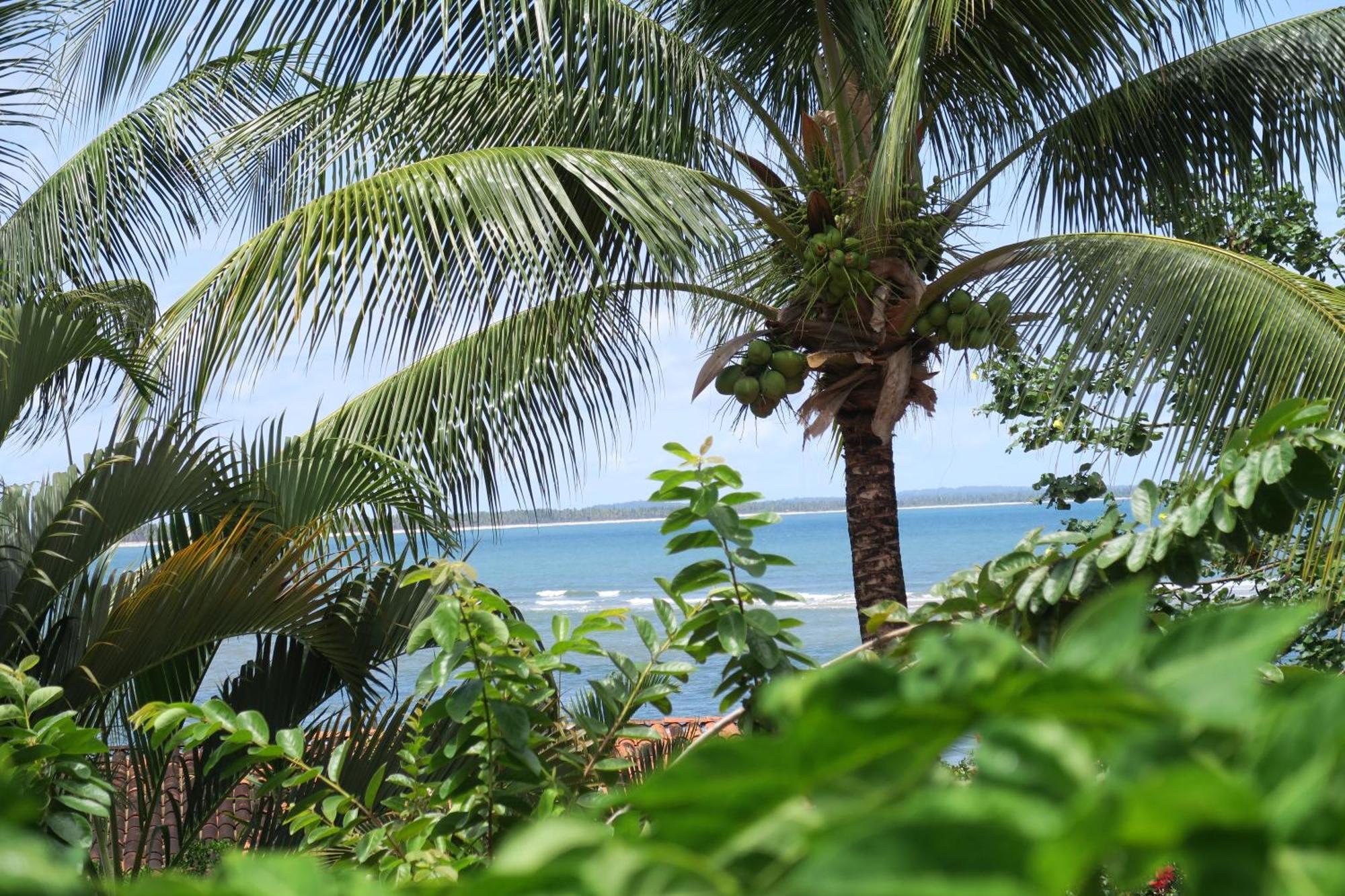 Pousada Nascente Do Sol Velha Boipeba 外观 照片